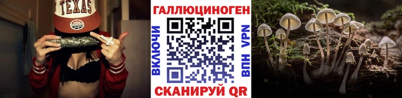 блэк спрут tor  Галич  Псилоцибиновые грибы Magic Shrooms 