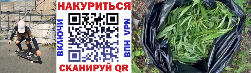 где можно купить наркотик Галич блэк спрут как зайти Шишки марихуана сатива